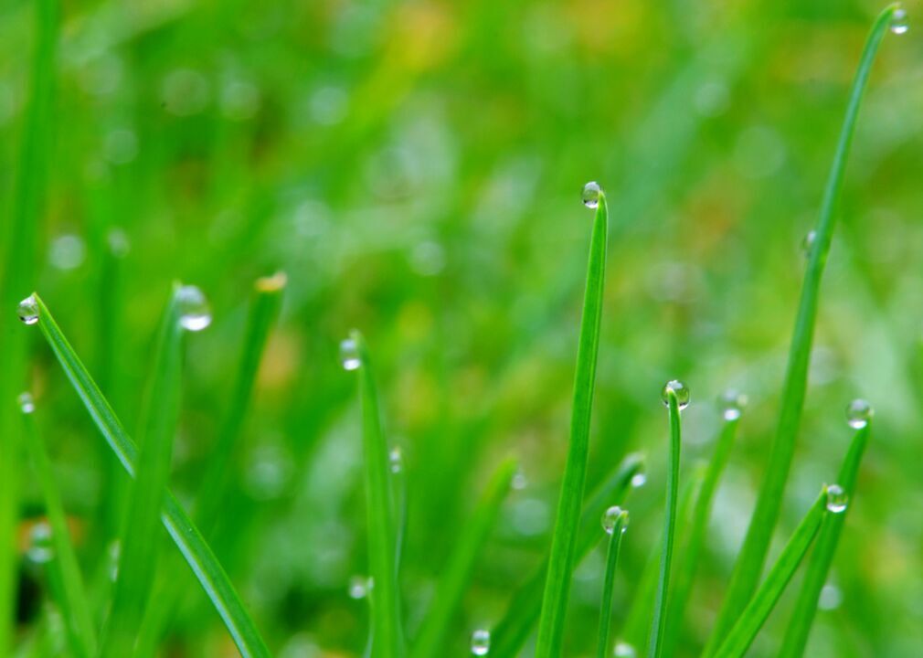 Dew point
